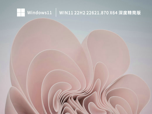 不忘初心Win11 22H2 22621.870深度精简版 v2022