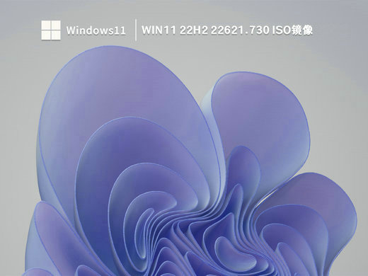 Win11 22H2 22621.730正式版镜像 v2022