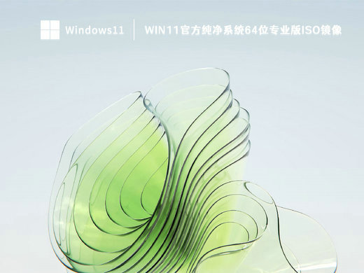 Win11官方纯净专业版ISO镜像 v2022