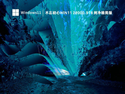不忘初心win11 22000.978精简版