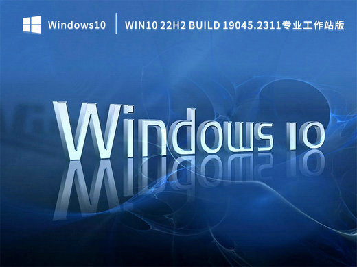 Win10 22H2 19045.2311专业工作站版 v2022
