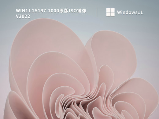 Win11 25197.1000原版iso镜像 v2022