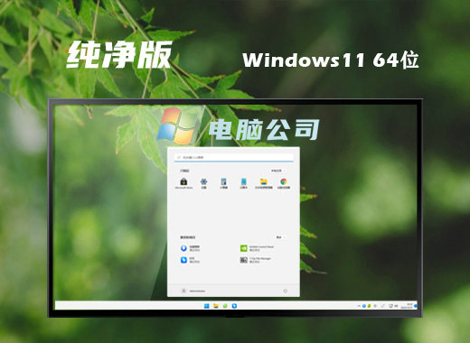 电脑公司Win11极简纯净版ISO镜像