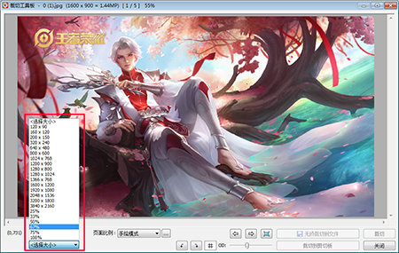 FastStone Image Viewer v7.4