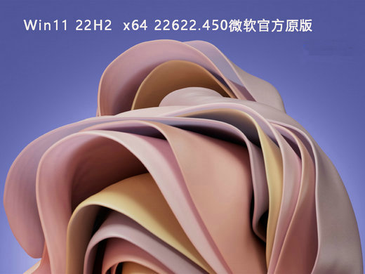 Win11 22H2 22622.450微软原版 v2023