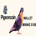 pigeoncoin鸽子币app