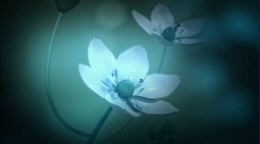 白色情人节2谎言之花 v1.0