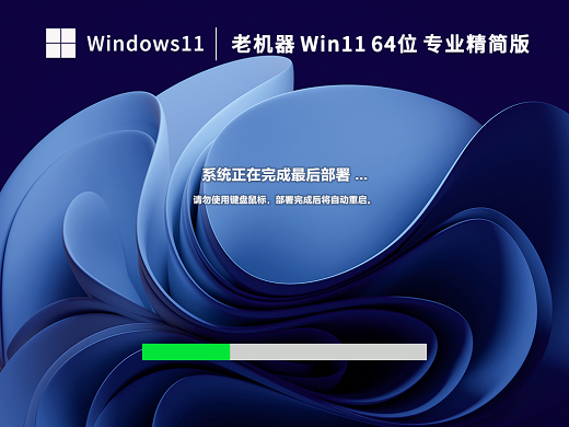 老机器专用Win11 22H2专业精简版 v2023