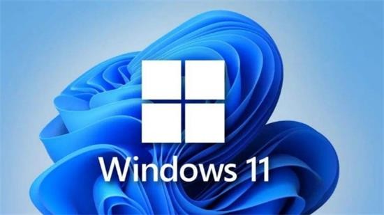 微软正版win11高级企业版 v2023