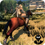 超级功夫忍者骑士