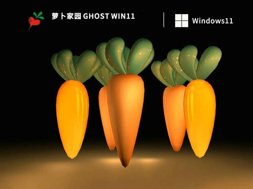 萝卜家园win11系统官方纯净版 v2023