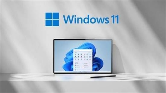 萝卜家园win11极限精简安装版
