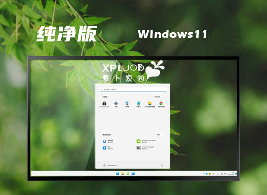 萝卜家园Win11 x32极致纯净版镜像 v2023