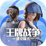 王牌战争一号玩家版