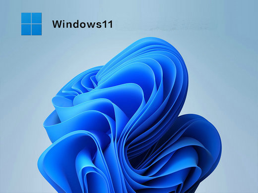 宏碁笔记本win11商业版