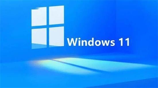 萝卜家园win11 64位专用可靠版 v2023
