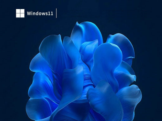宏碁笔记本win11安全版