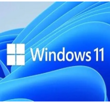 青苹果系统win11 绝对高效版 v2023