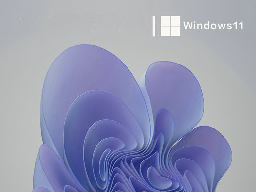 最新win11 22h2专业版 v2023