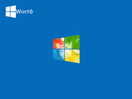 微软正版win10专业版 v2023