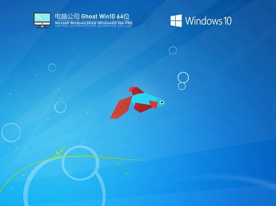 电脑公司win10极速纯净版 v2023