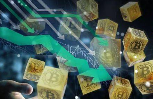 pi官方最新下载