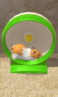 我的仓鼠中文版下载