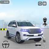 多层汽车疯狂停车3d2