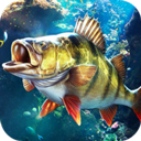 欢乐钓鱼大师国际服破解版