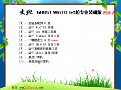 大地系统ghost win10 64位专业装机版 V2017.11系统下载 